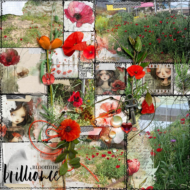 Poppy Extravaganza