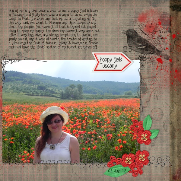 poppy field