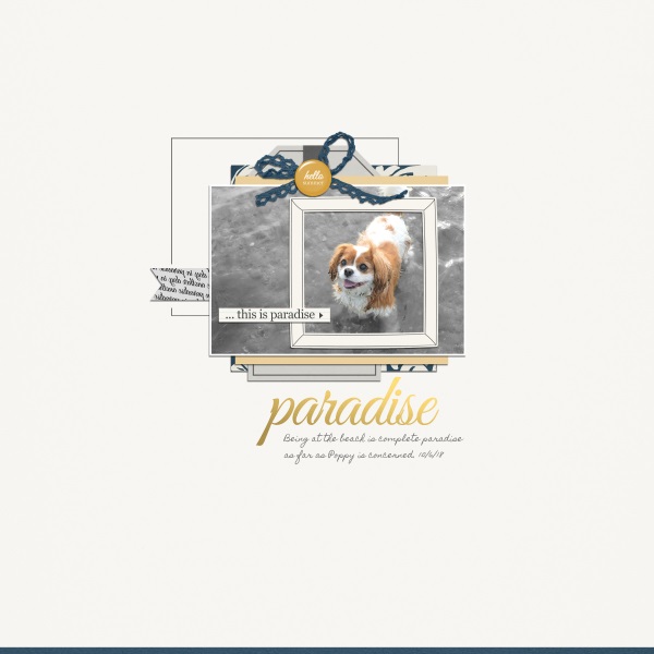 Poppy Paradise