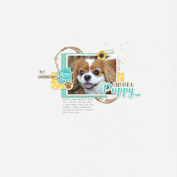 Poppy Puppy