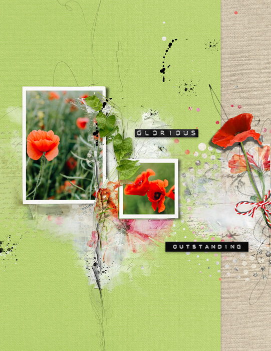 Poppy