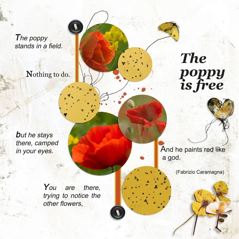 Poppy