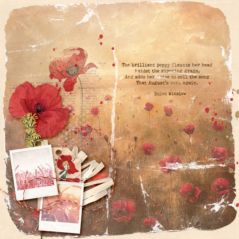 poppy