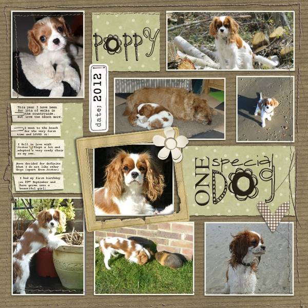 Poppy's Year