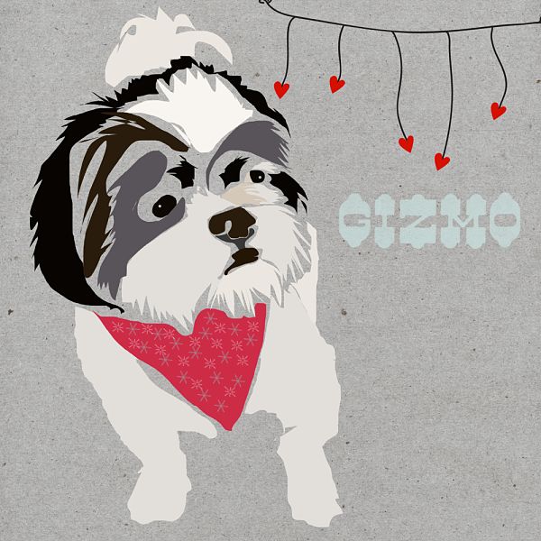 Portrait collage:  Gizmo