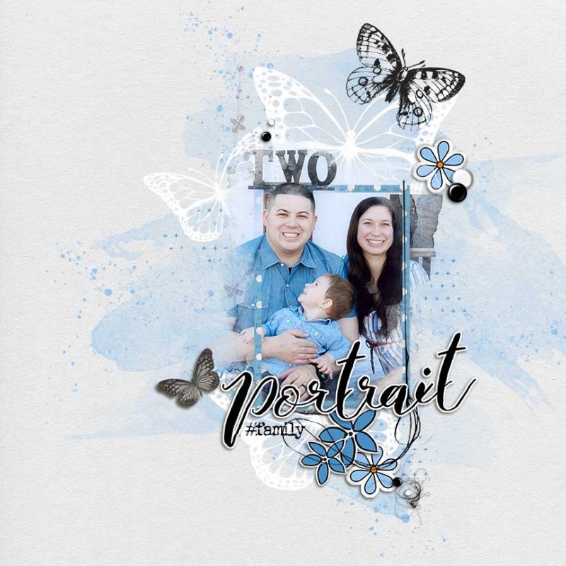 Portrait INSD build your own slow scrap
