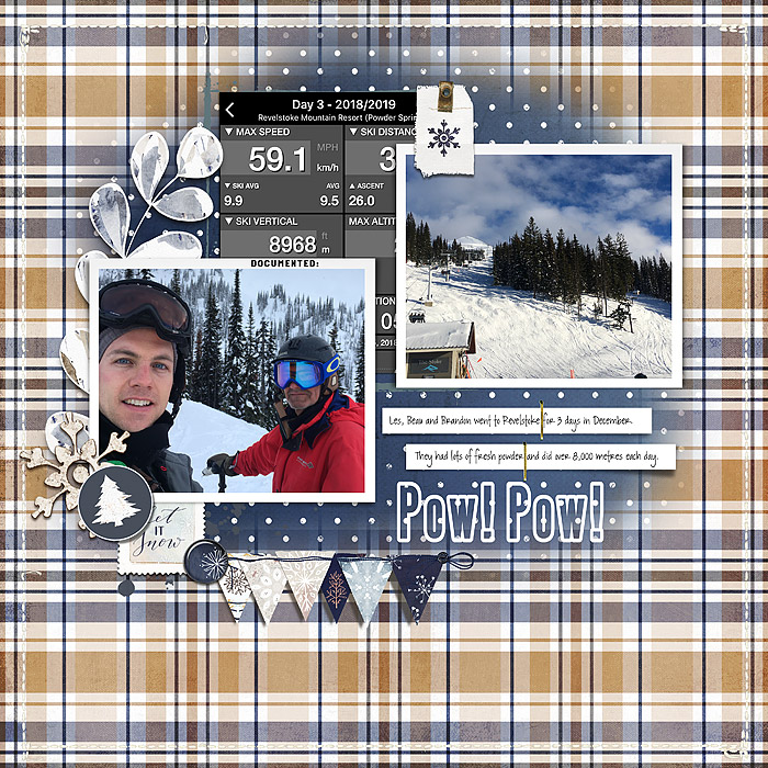 Powder