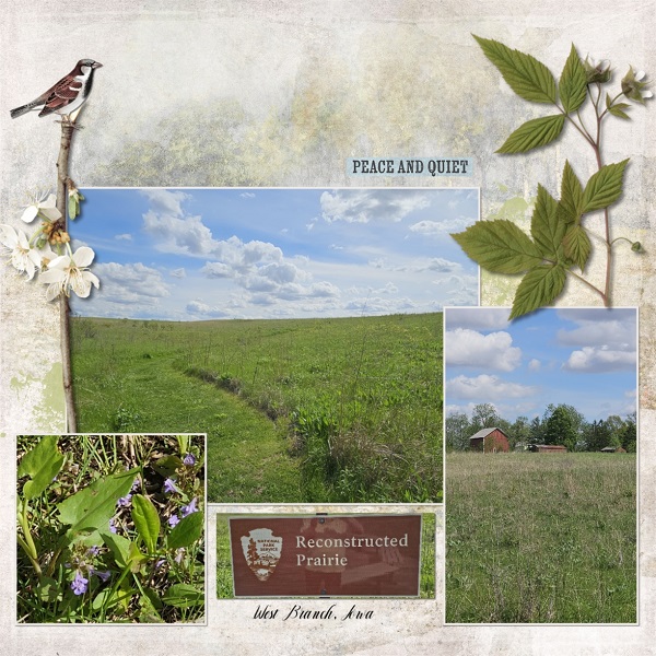 Prairie Peace And Quiet