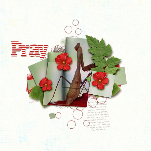 Pray