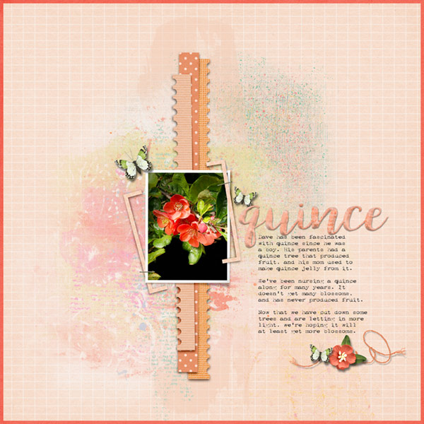 PRD Template Challenge_05-2020_Quince