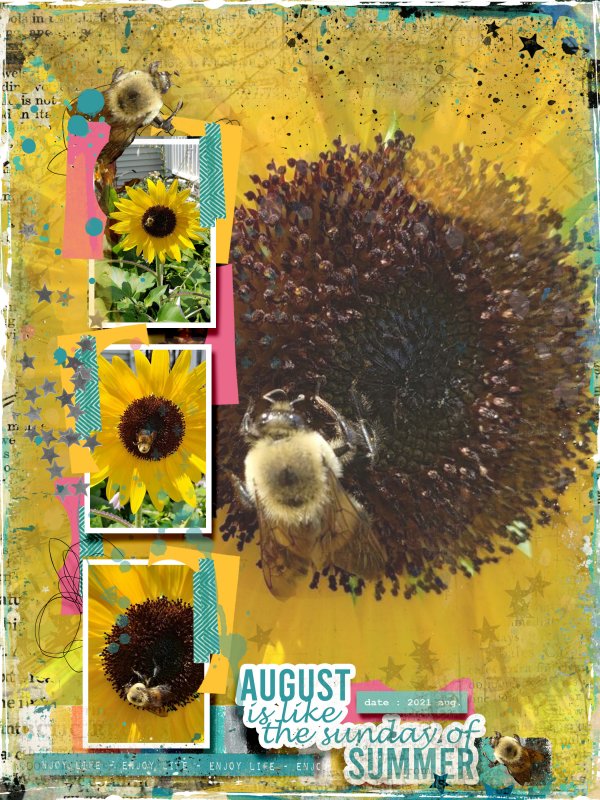 Prd_21_08_gaelle_temp Challenge Bees And Sunflowers