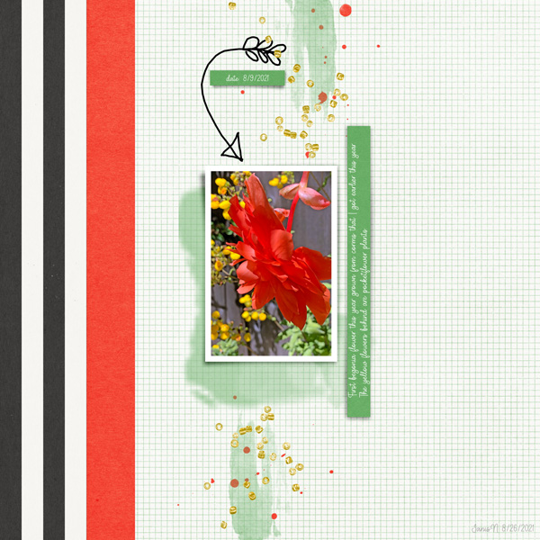 Prd_begonia