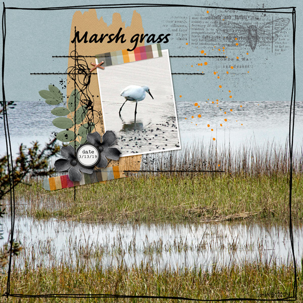 Prd_marsh Grass