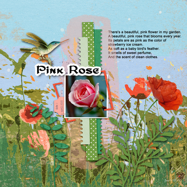 Prd_pink Rose