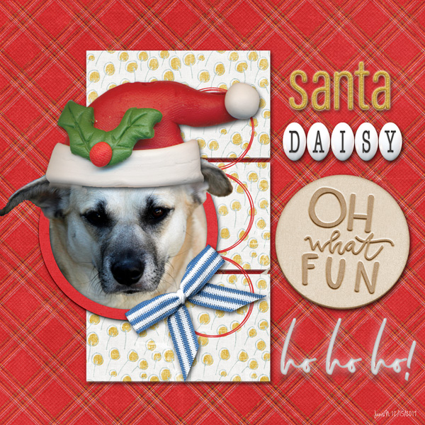Prd_santa Daisy