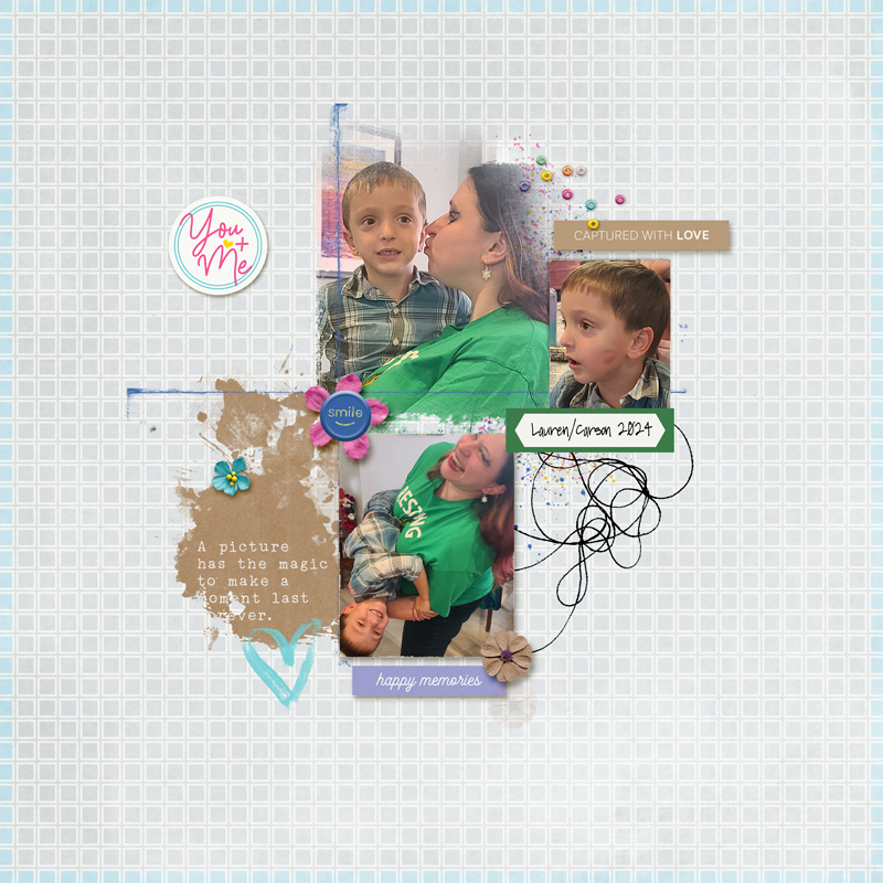 Prdsoco_pictureperfect