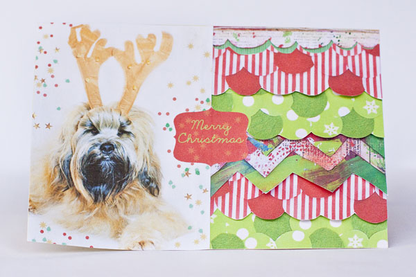 pre-christmas card