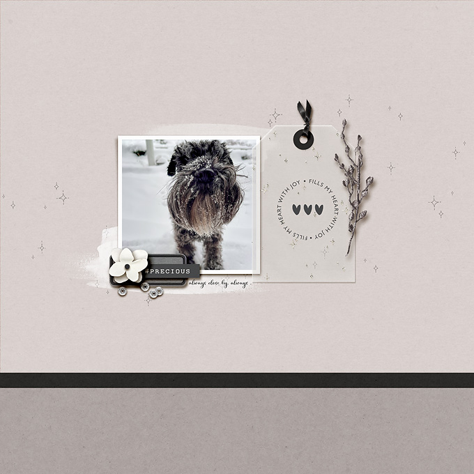 precious | for dec byoc celebration