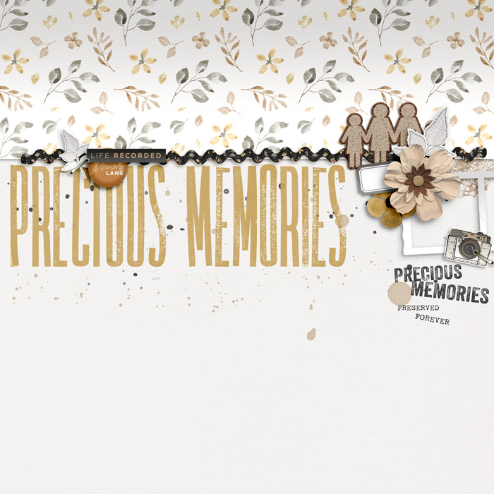 Precious Memories