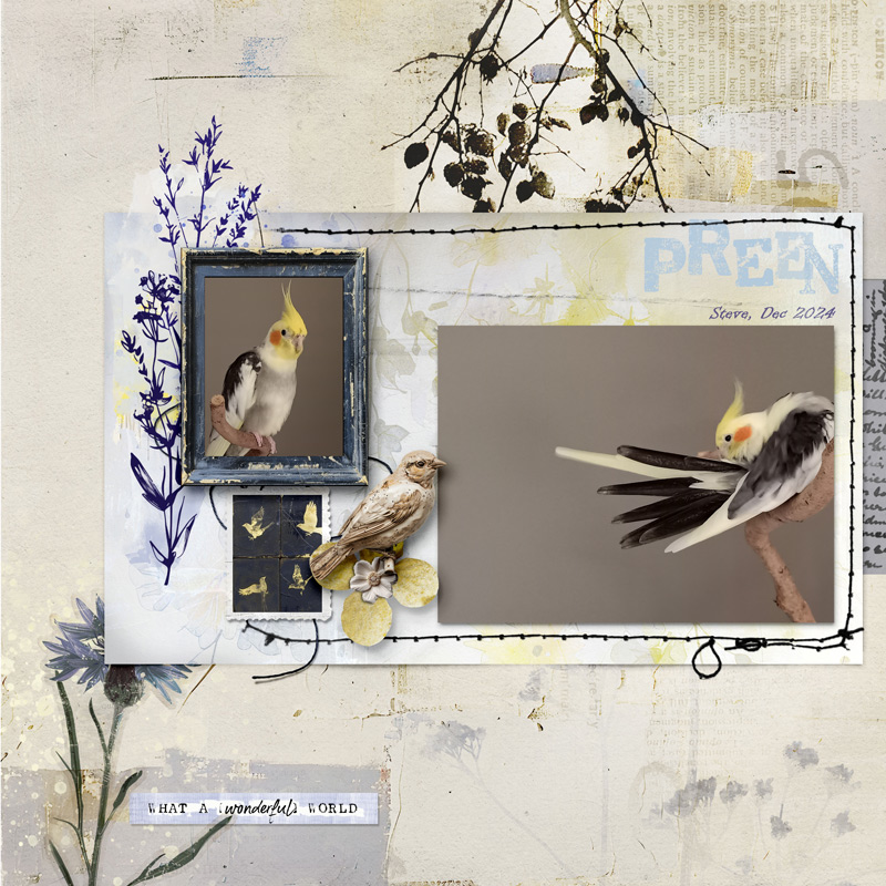preen