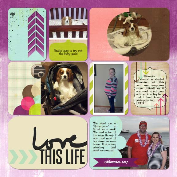 Pregnancy Pocket Pages