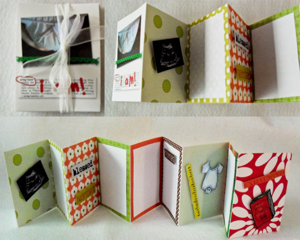 pregnant mini album