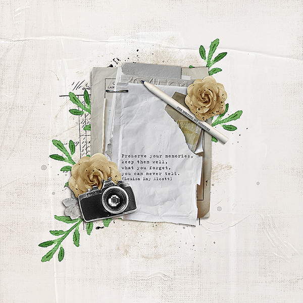Preserve Your Memories...