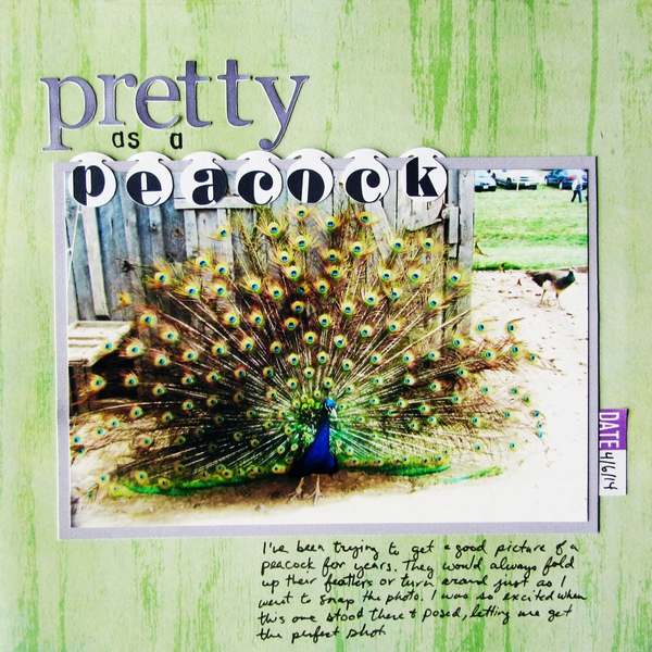 Pretty as a Peacock