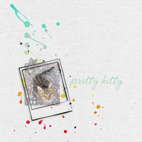 Pretty Kitty