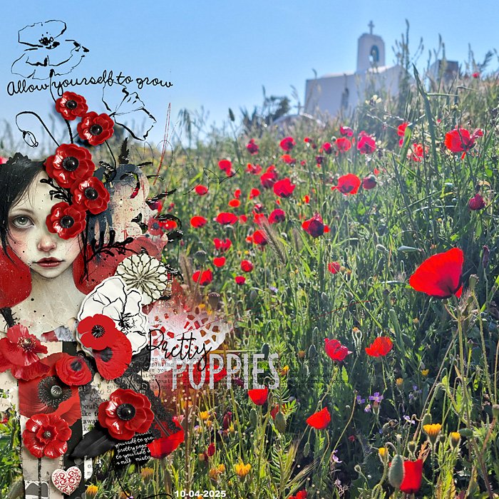 Pretty Poppies