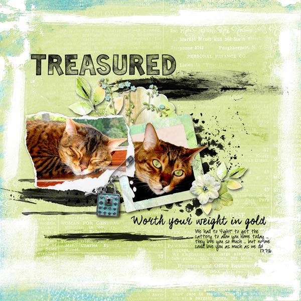 Priceless-scrapbook-web