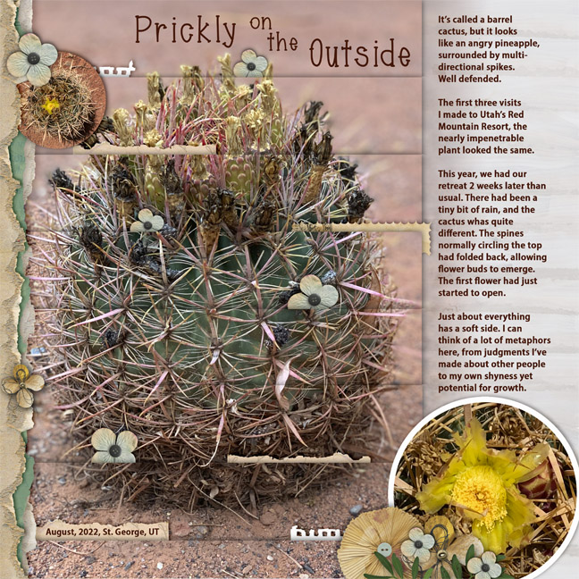 Prickly On The Outside 2022
