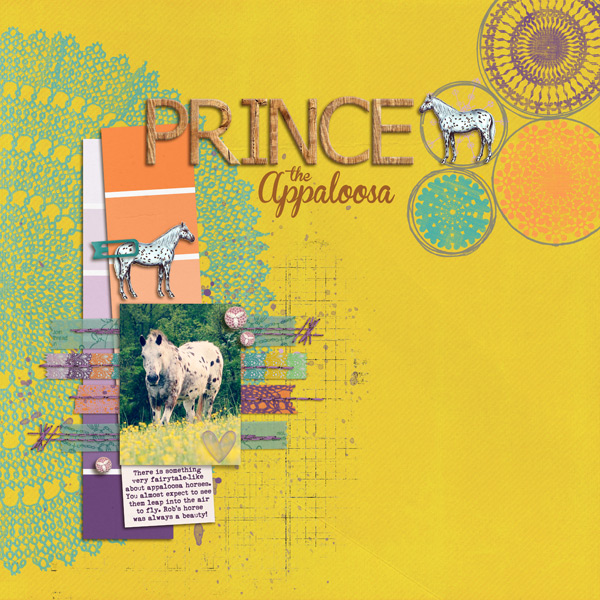 Prince the Appaloosa