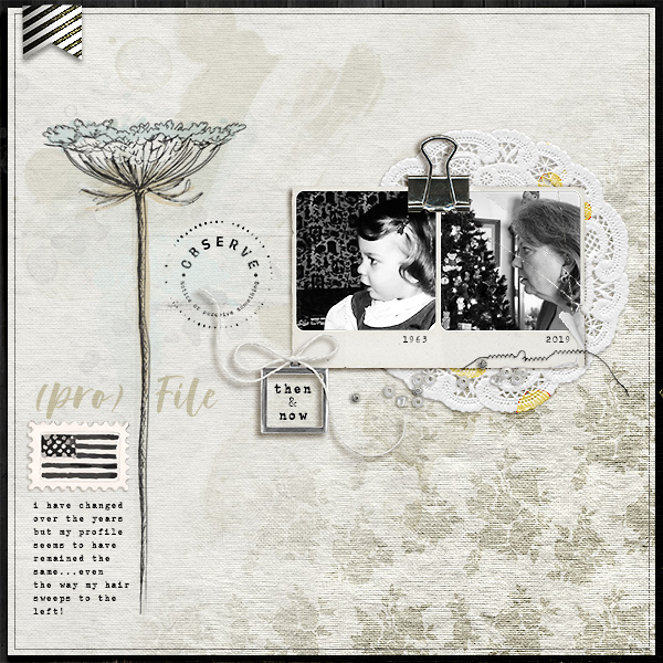 (pro) File