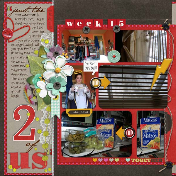 Project 2012 {week 15} page 4