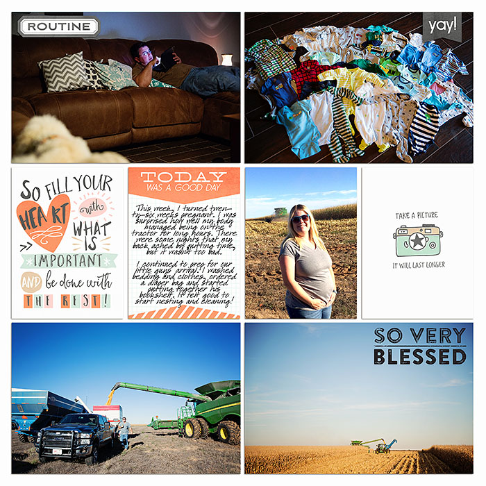 Project 2015- Week 43 (right)