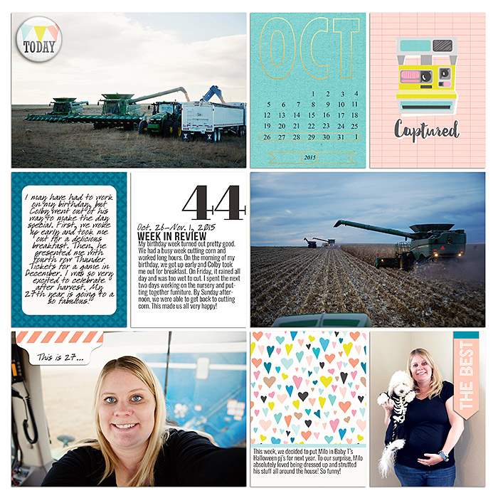 Project 2015- Week 44 (left)