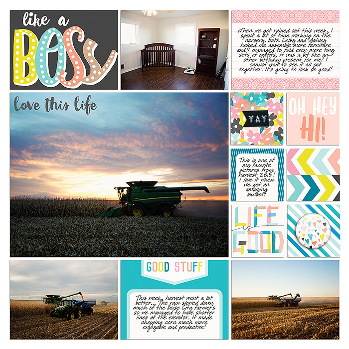 Project 2015- Week 44 (right)
