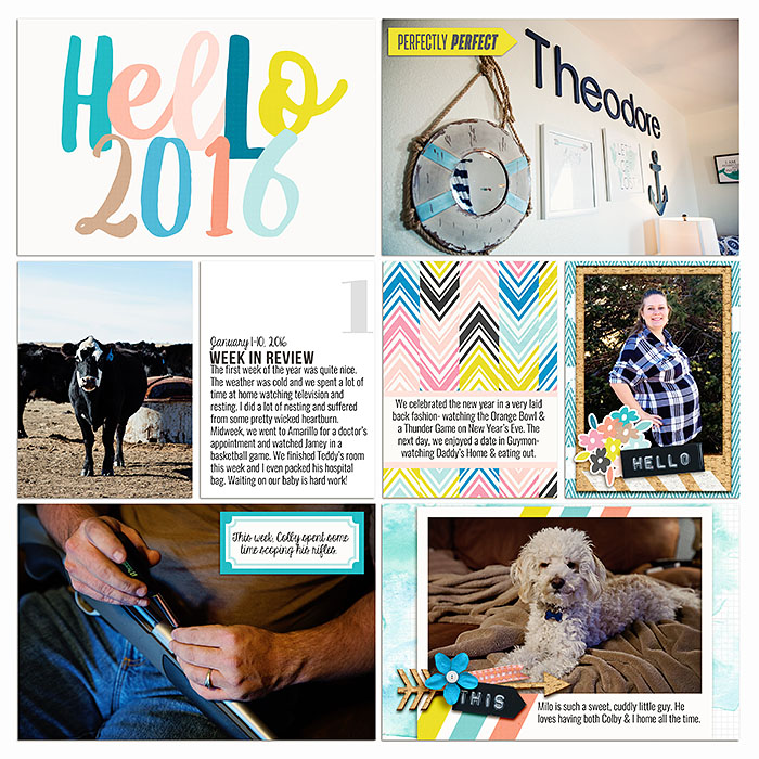 Project 2016- Week 1 (left)