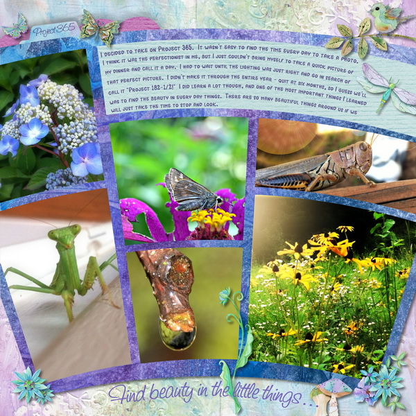 Project 365-2