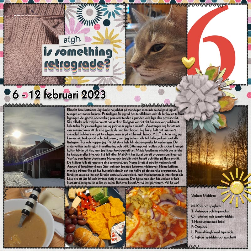 Project 52 2023 Week 6