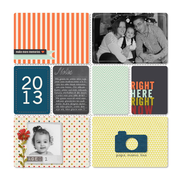 Project life 2013 frontpage