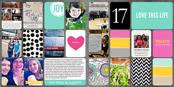 Project Life 2013 Week 17