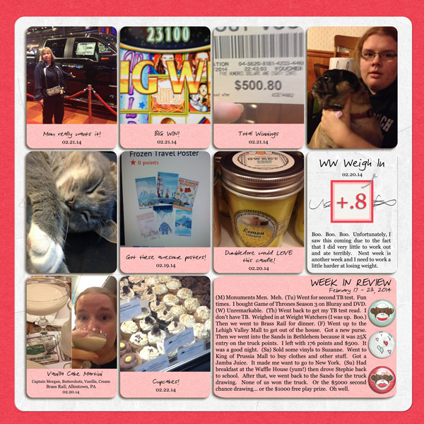 Project Life 2014: Week 8 (right)