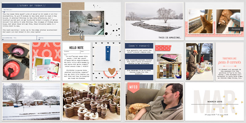 Project Life 2015 - 02-23 - 03-01