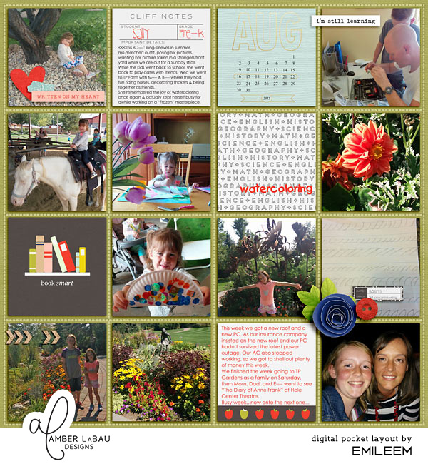 Project Life Aug 16 -1