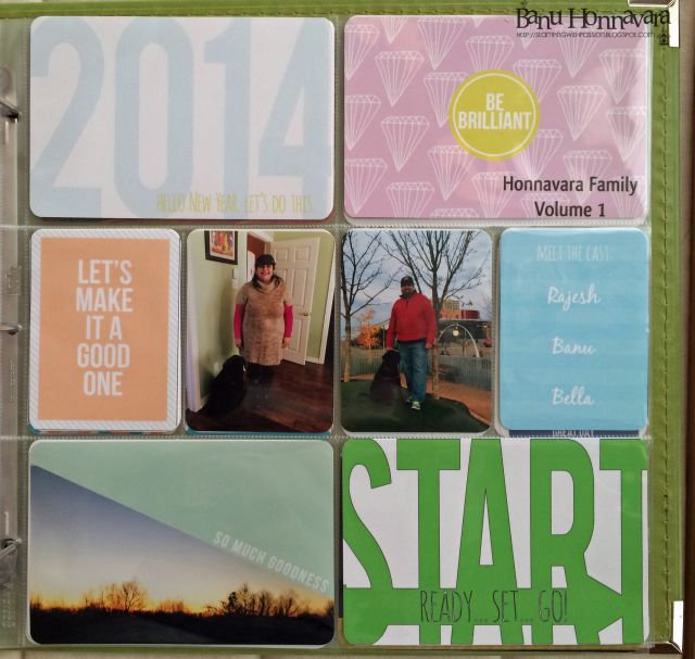 Project Life Cover