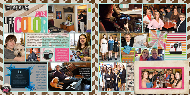 Project Life | Week 12