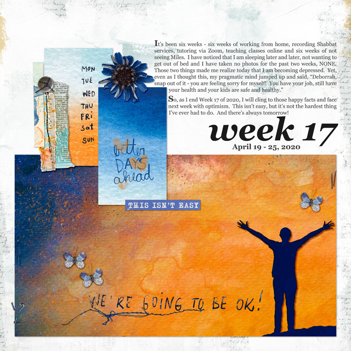 Project-LIfe---Week-17