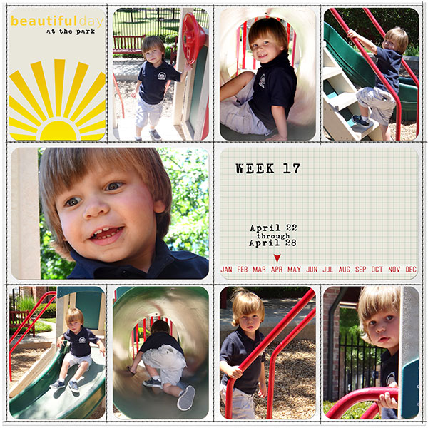 PROJECT LIFE - week 17